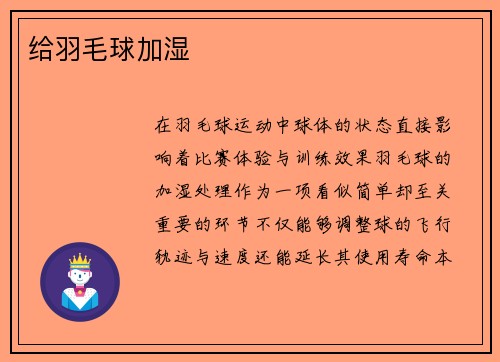 给羽毛球加湿